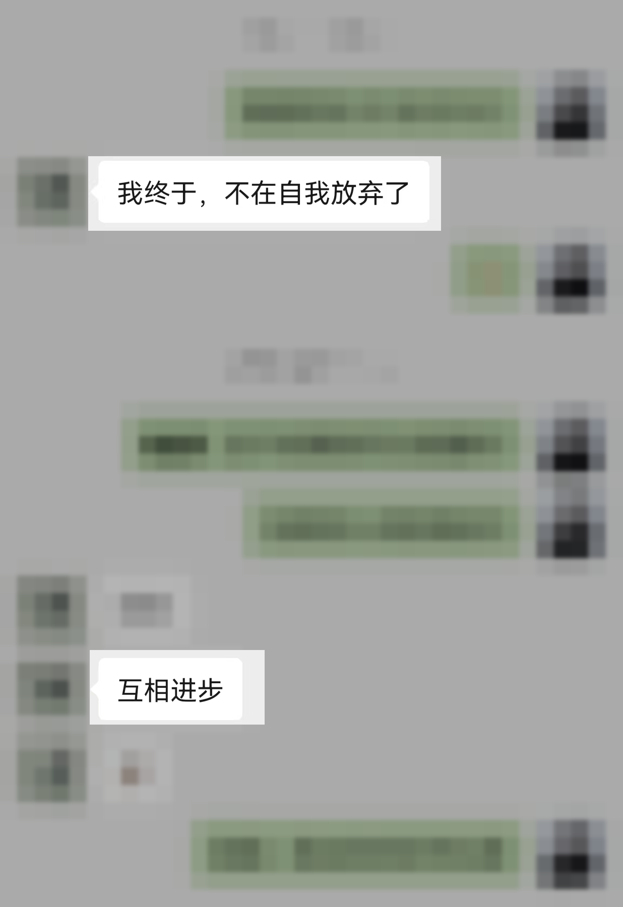 已不可逆打码、仅保留关键变化语句的聊天节选