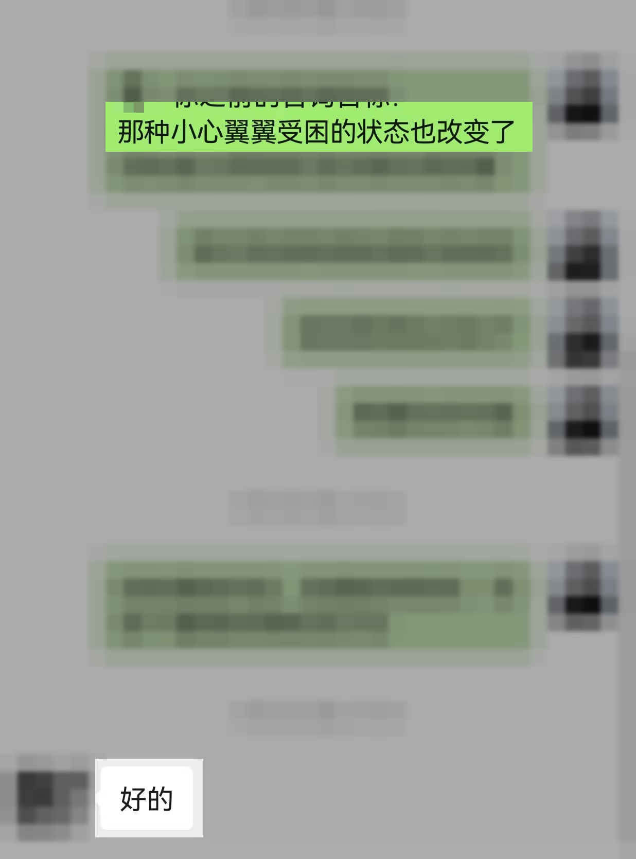 已不可逆打码、仅保留结案目标核对片段的聊天节选